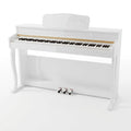 88-Key Weighted Digital Piano R252