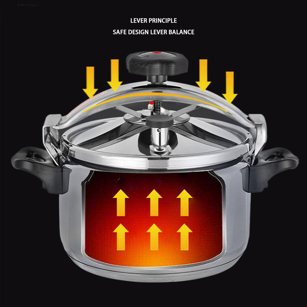3L Stainless Steel Pressure Canner N222058