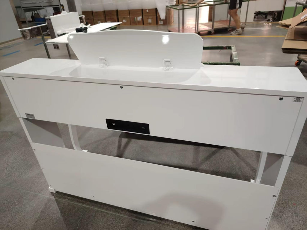 88-Key Weighted Digital Piano R252