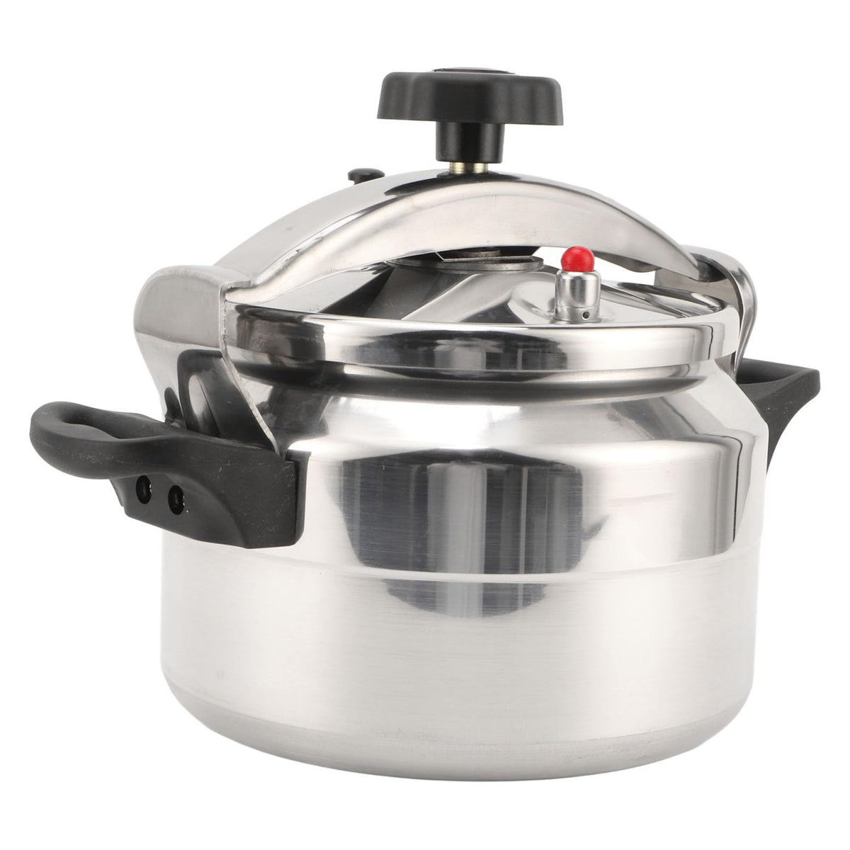 3L Stainless Steel Pressure Canner N222058