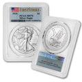 1 oz American Silver Eagle Coin MS-70 Q3637