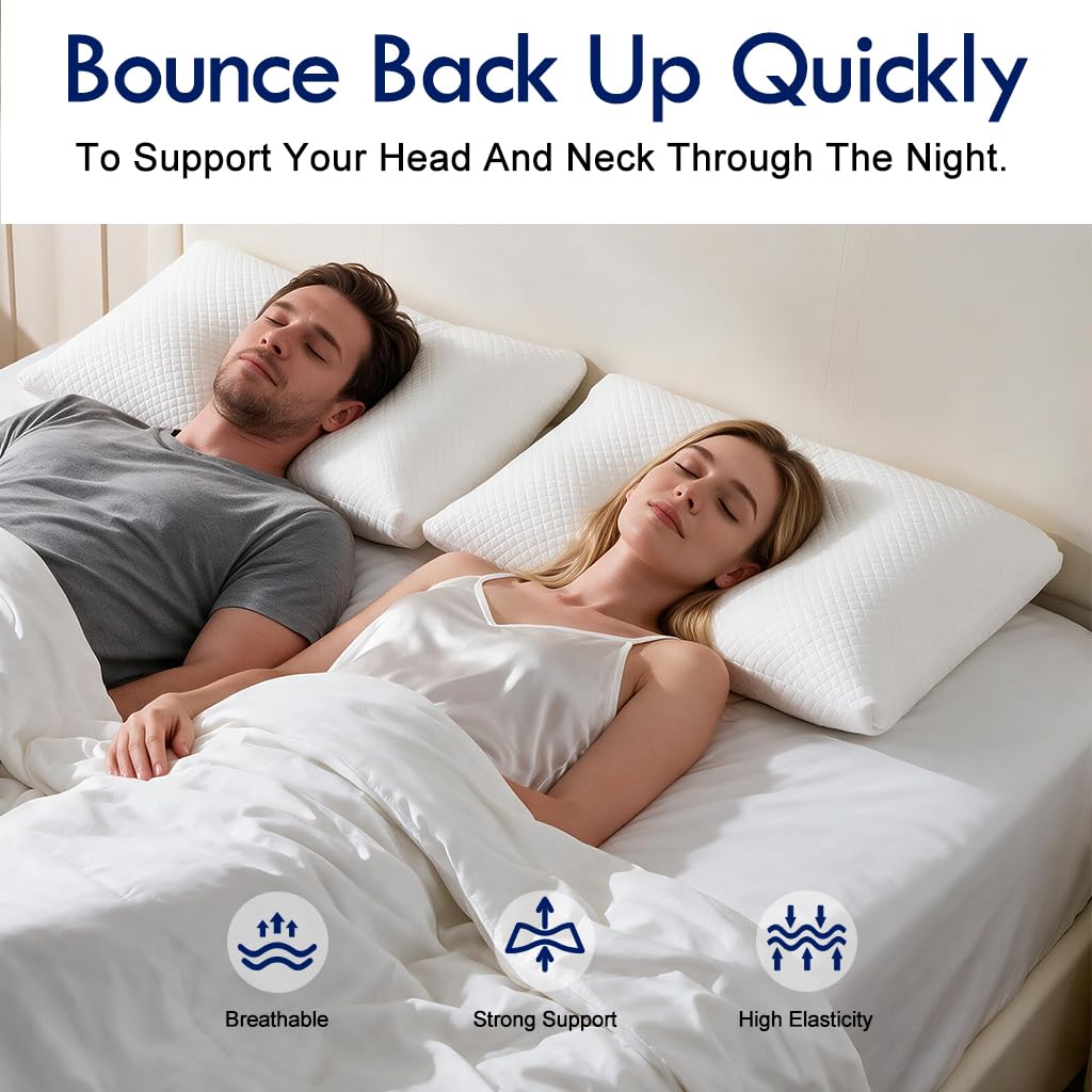 King Size Down Alternative Pillows Set of 2 D7024