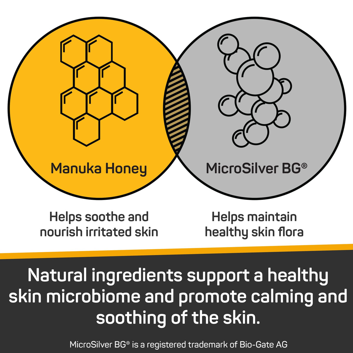 Silver Honey Skin & Coat Care Grooming 2pc Combo T165229