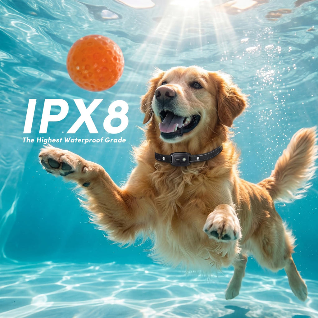 Shock Collar for 2 Dogs, 4 Modes, IPX8 Waterproof Dog Training Collar W9639