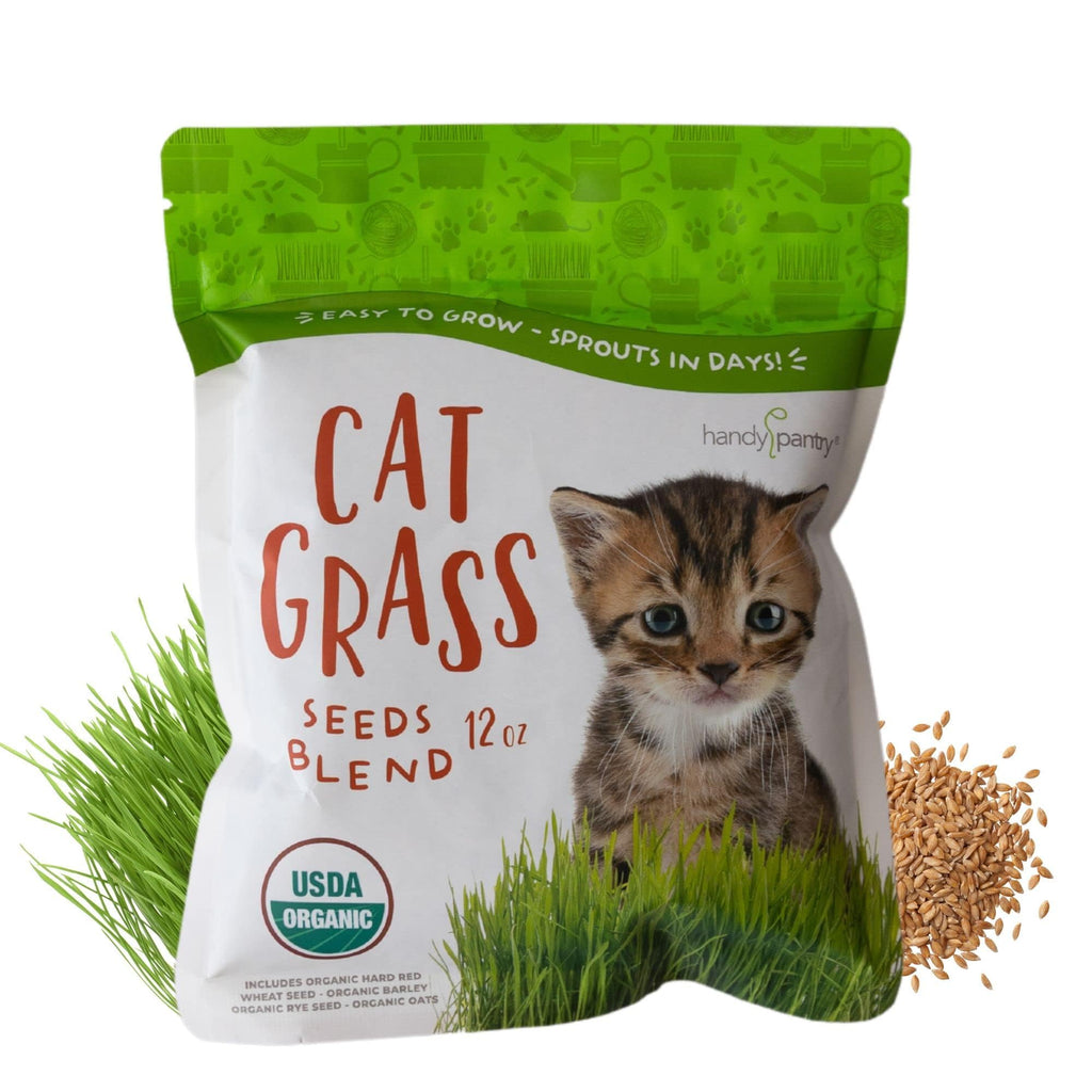 Organic Cat Grass Seed Blend 12 oz Z622
