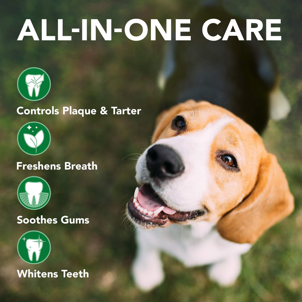 Cat & Dog Dental Powder 192 Servings + Dog Toothbrush & Toothpaste Kit S269