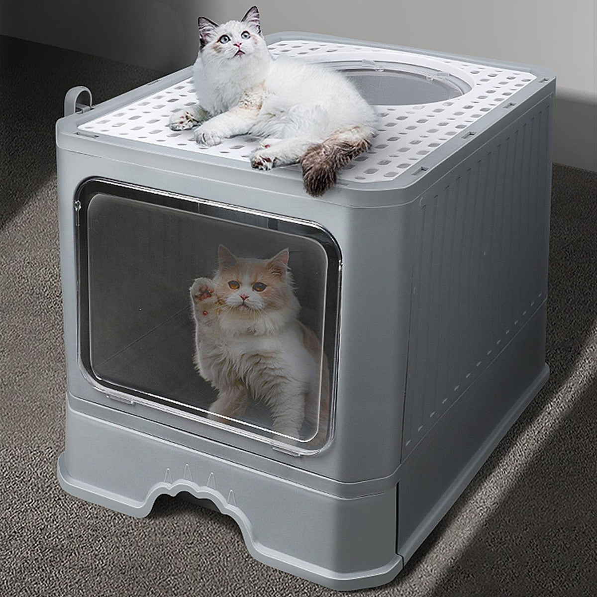 Foldable Enclosed Cat Litter Box with Lid U140930