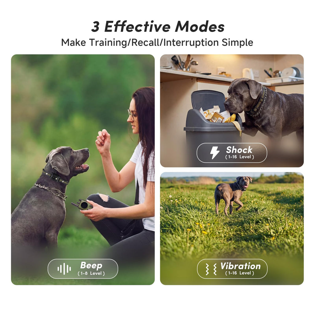 Shock Collar for 2 Dogs, 4 Modes, IPX8 Waterproof Dog Training Collar W9639