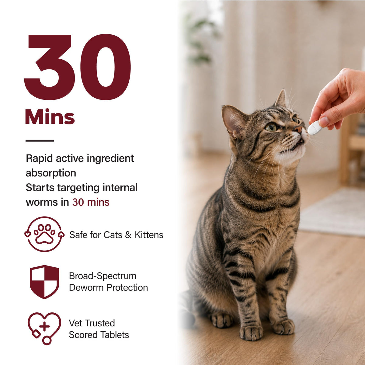 Cat Dewormer, Beef Flavor, 30 Tablets B647