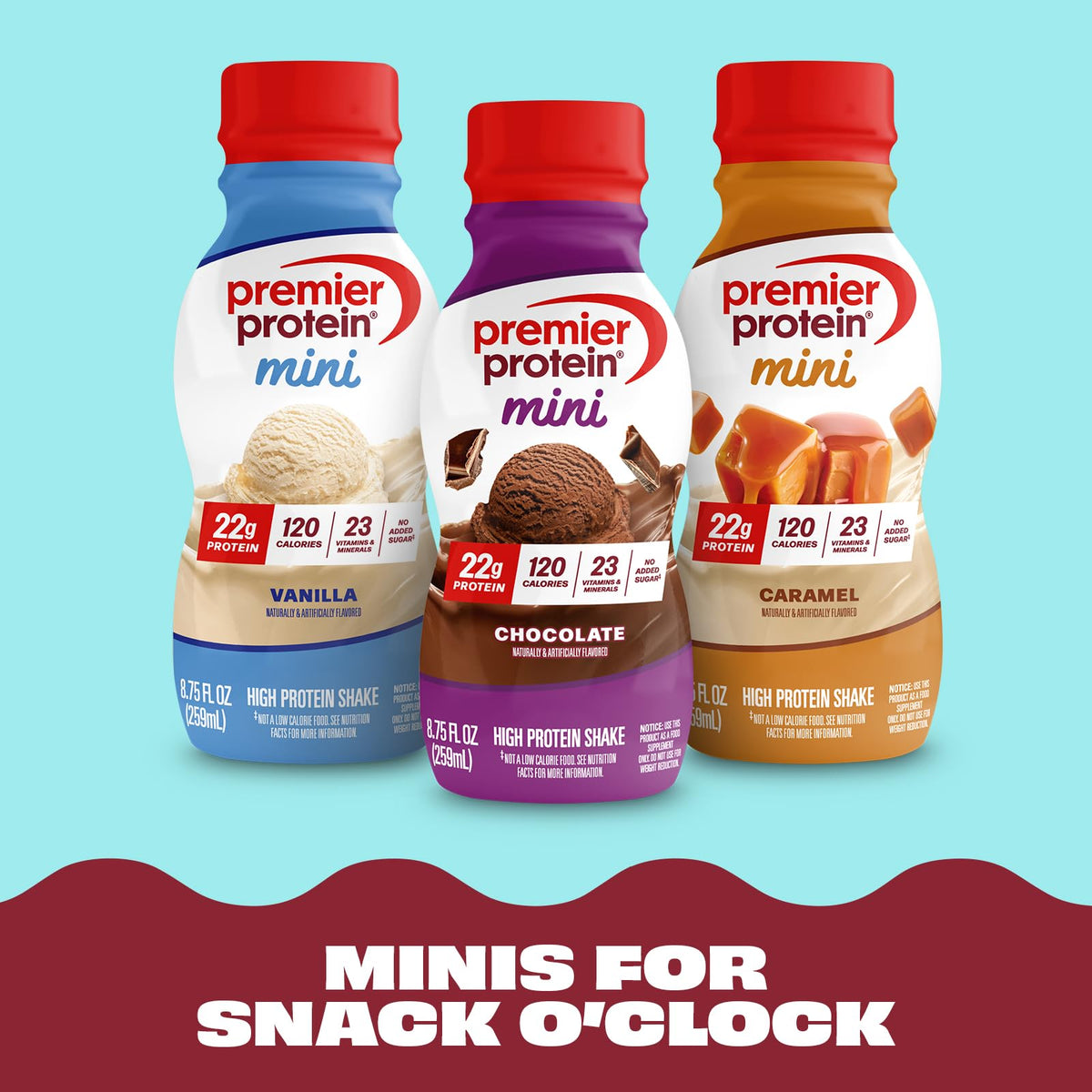 Vanilla 22g Protein Shake 12 Pack W222919