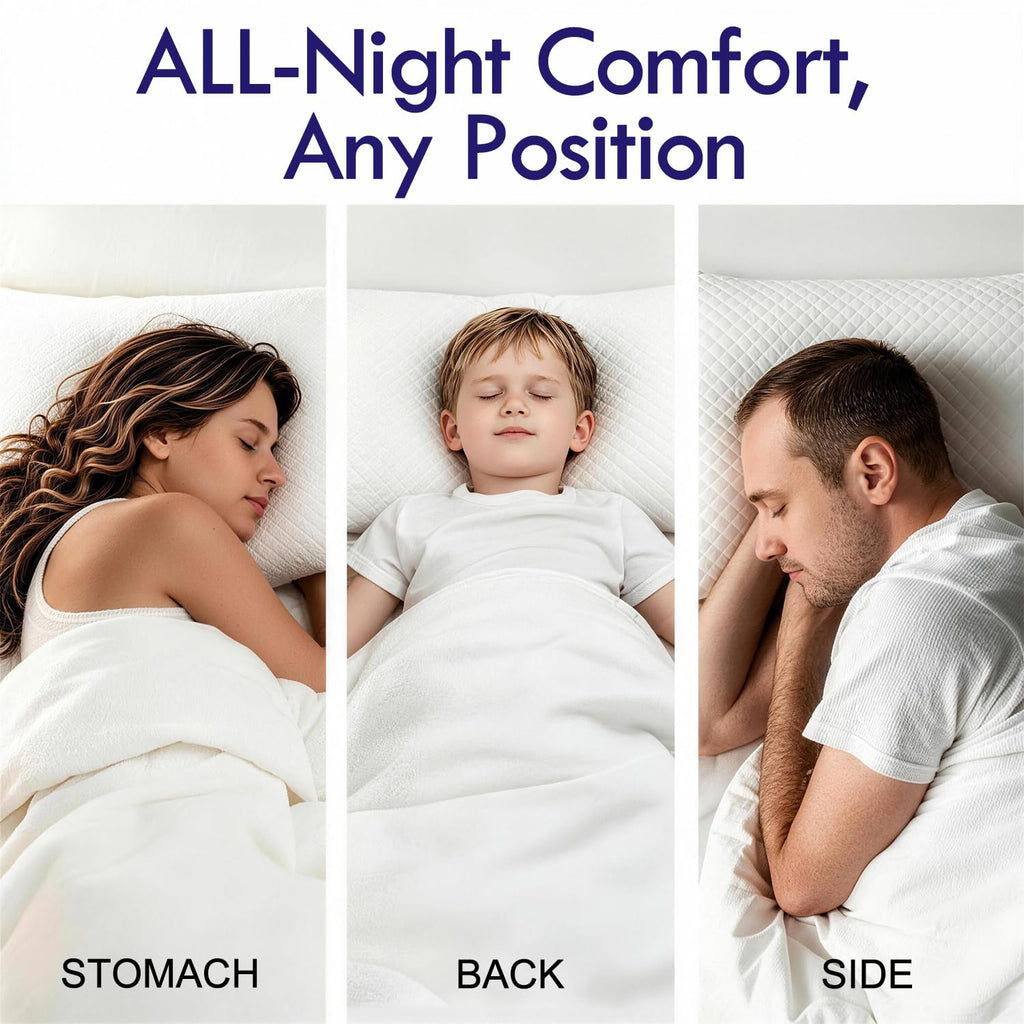 King Size Down Alternative Pillows Set of 2 D7024