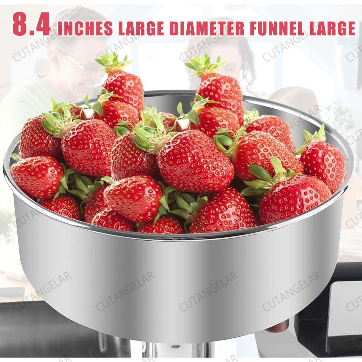450W Food Grade Stainless Steel Ketchup Maker W5092
