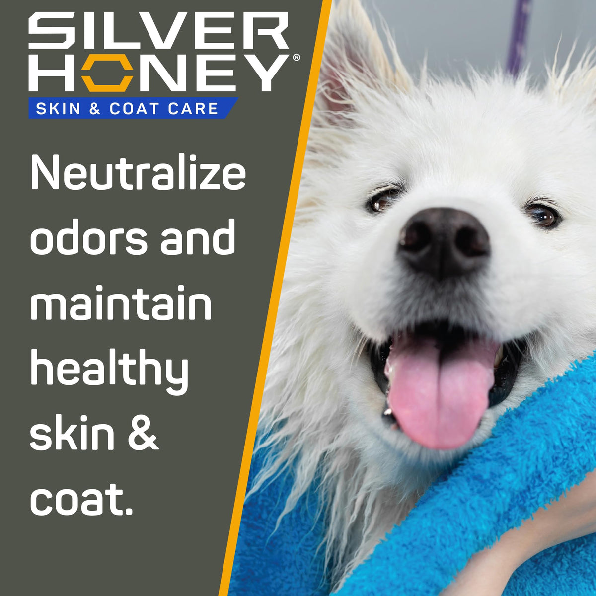 Silver Honey Skin & Coat Care Grooming 2pc Combo T165229