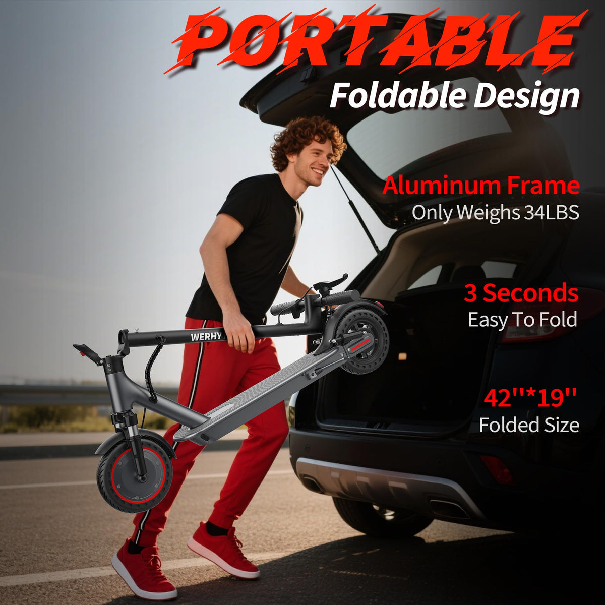 Electric Scooter Y489