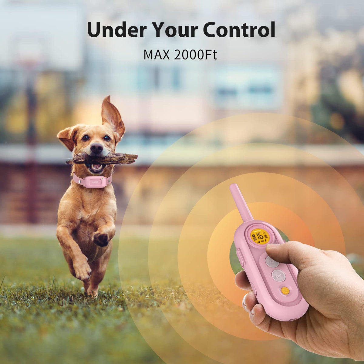 Rechargeable IPX7 Waterproof Dog Training Collar with Remote U6440