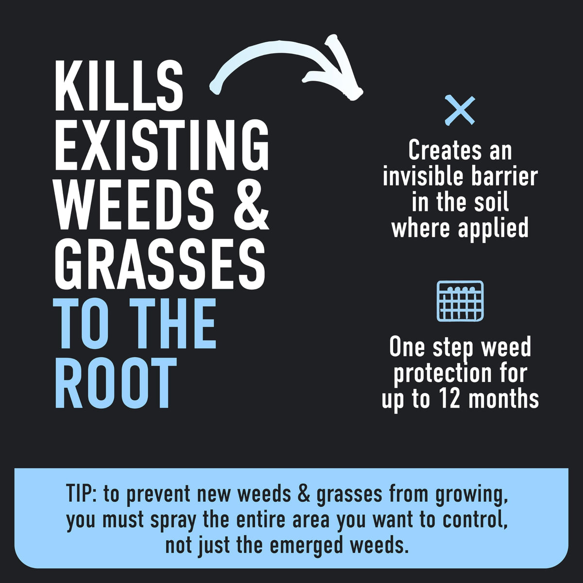 Weed & Grass Killer Plus 12 Month Preventer, 1 gal., Wand (Pack of 4) H307693