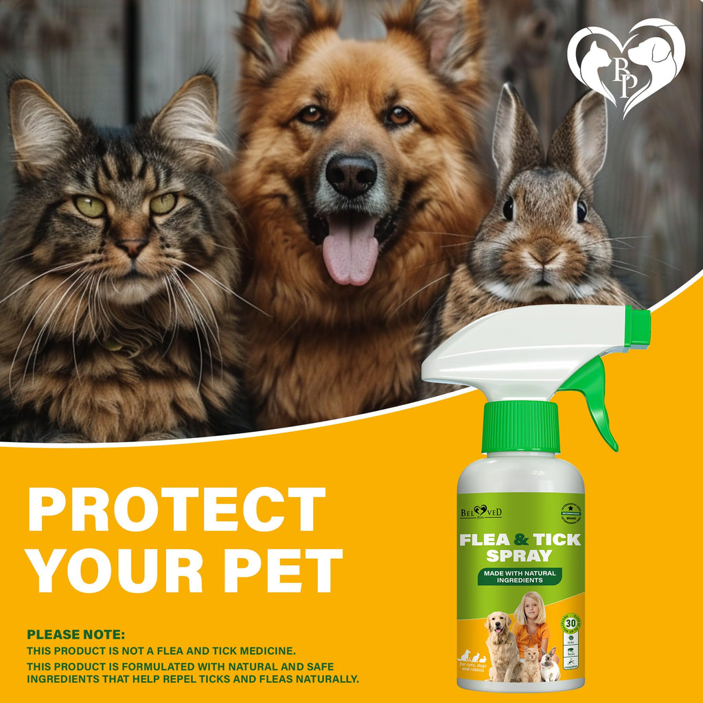 Natural Flea and Tick Home Spray D50557