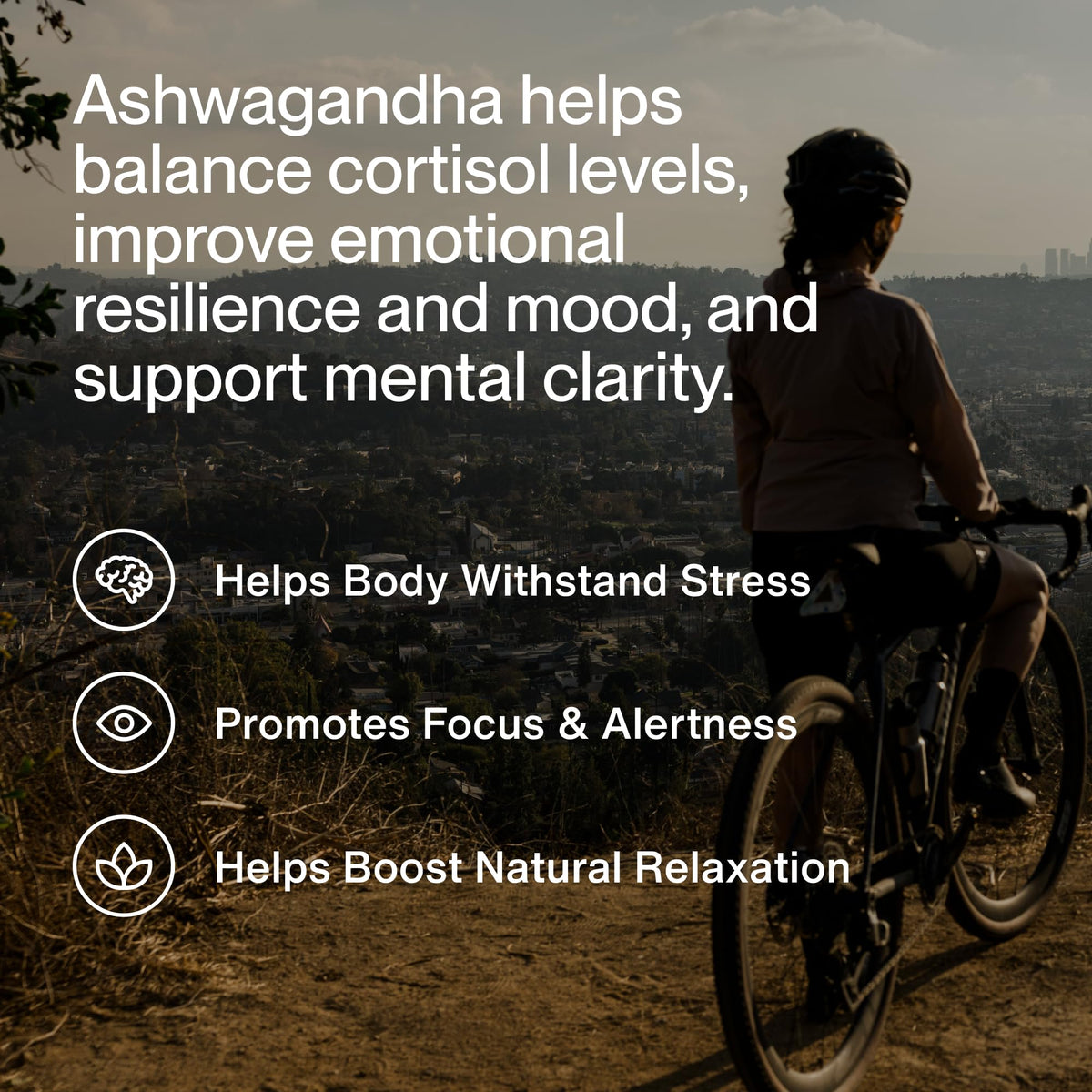 Ashwagandha Supplement 300mg M9685