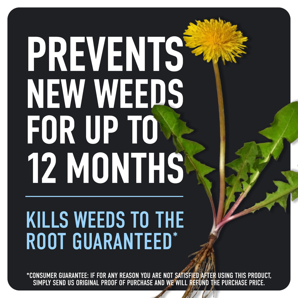 Weed & Grass Killer Plus 12 Month Preventer, 1 gal., Wand (Pack of 4) H307693