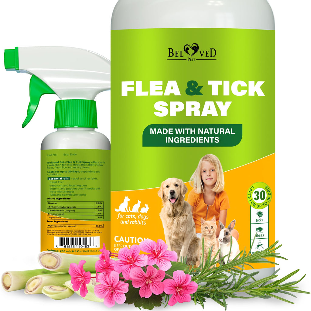 Natural Flea and Tick Home Spray D50557