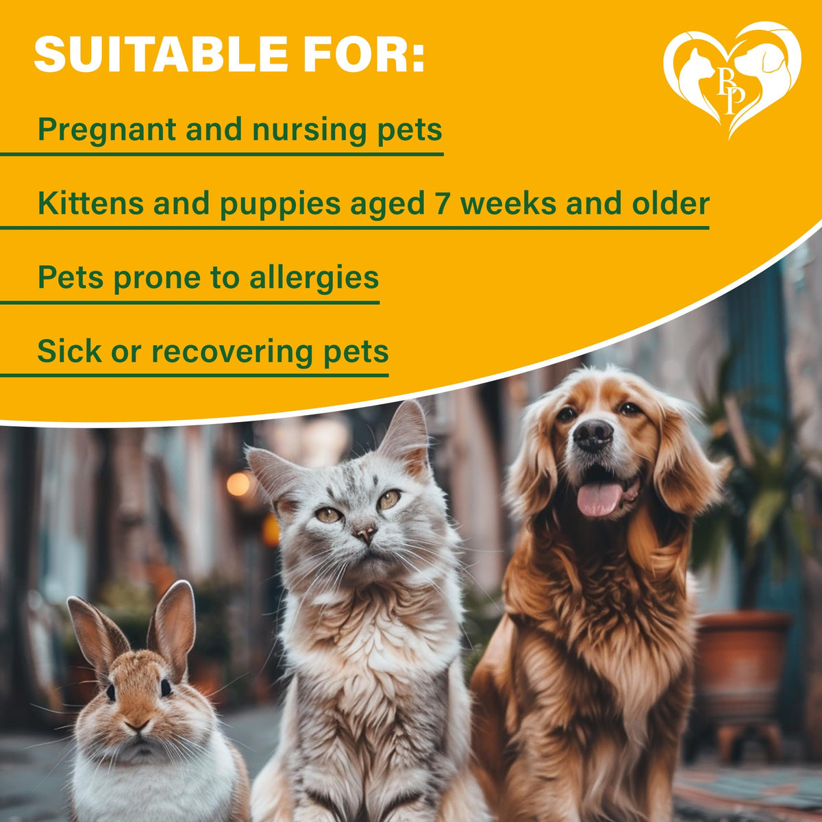 Natural Flea and Tick Home Spray D50557