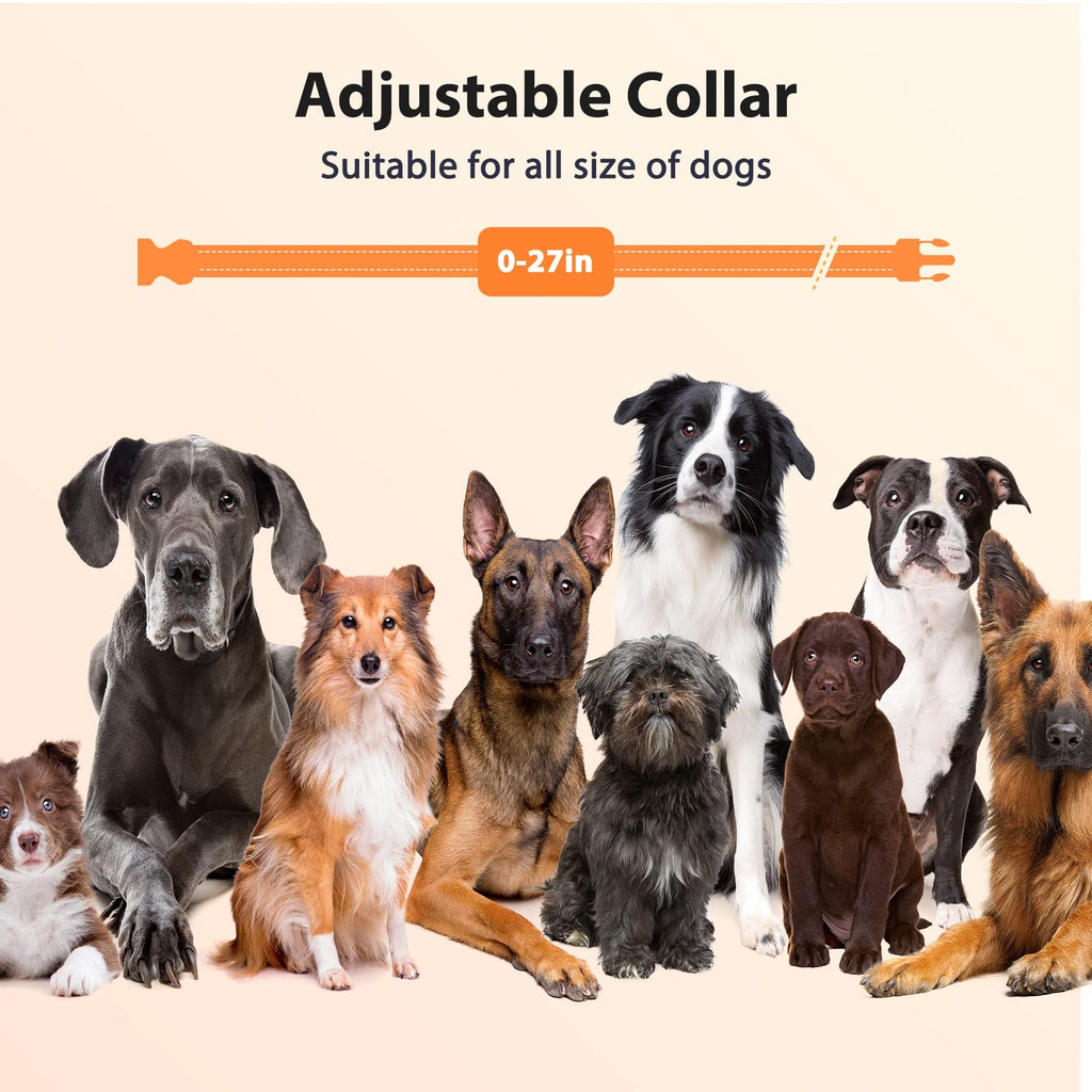 Rechargeable IPX7 Waterproof Dog Training Collar with Remote U6440