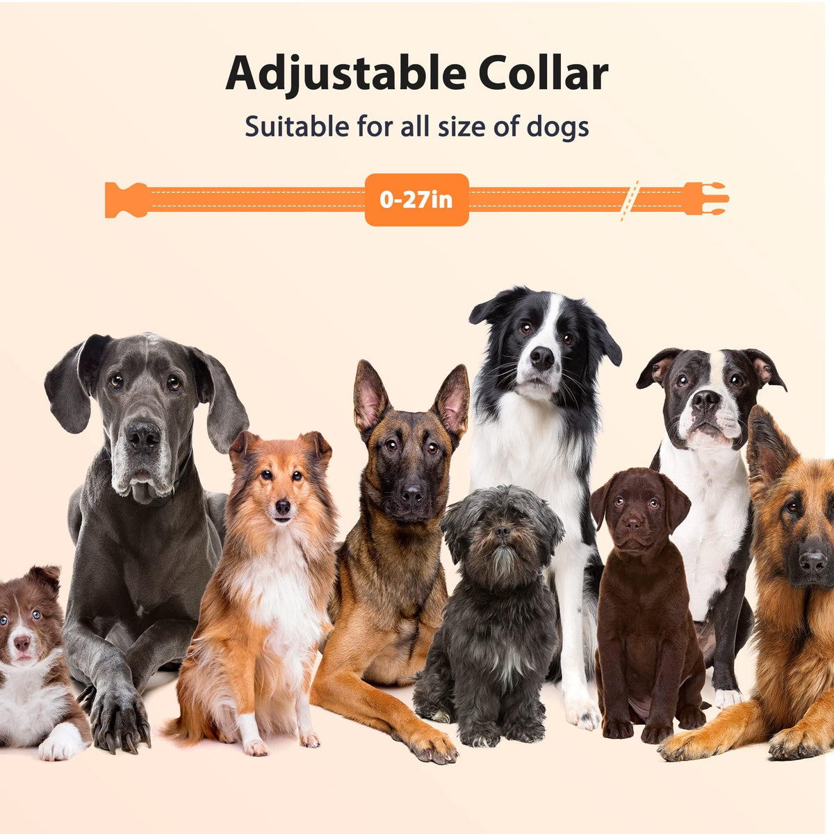 Rechargeable IPX7 Waterproof Dog Training Collar with Remote U6440
