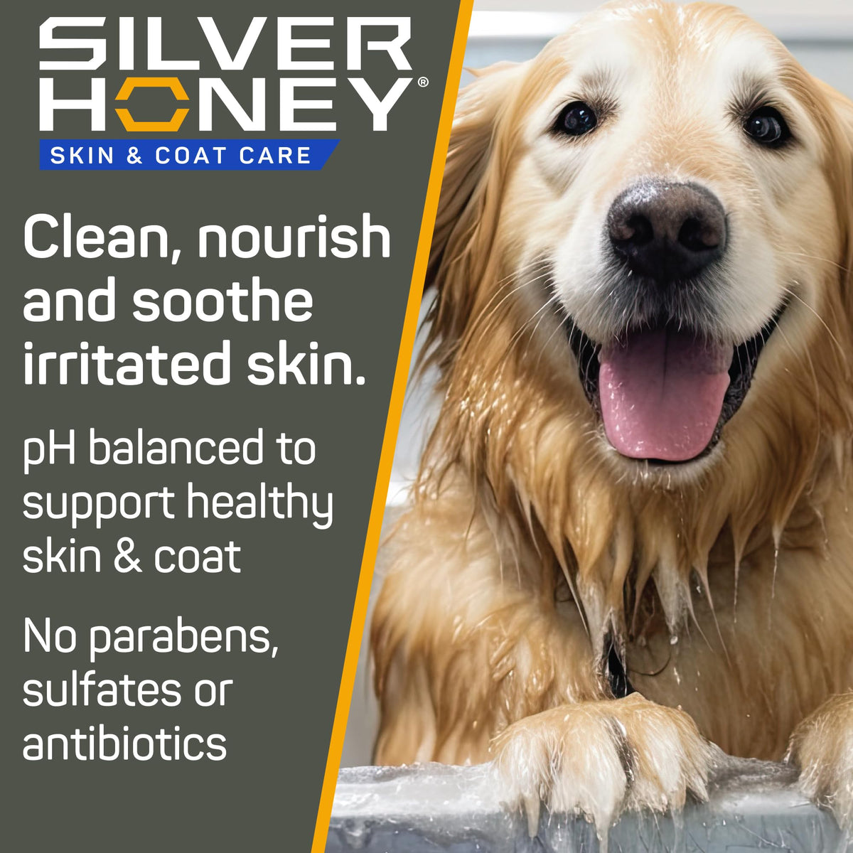 Silver Honey Skin & Coat Care Grooming 2pc Combo T165229