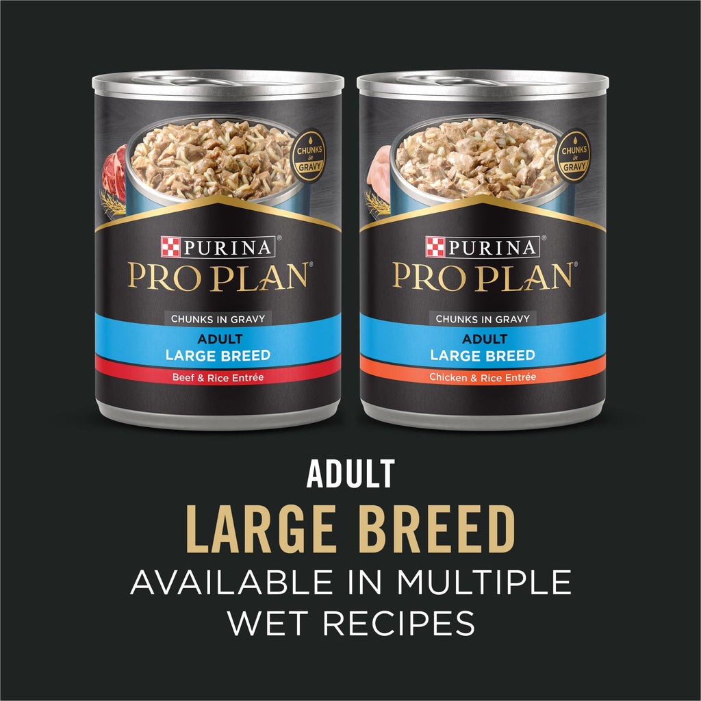 Chicken & Rice Dry Dog Food 34 lb Bag T66104