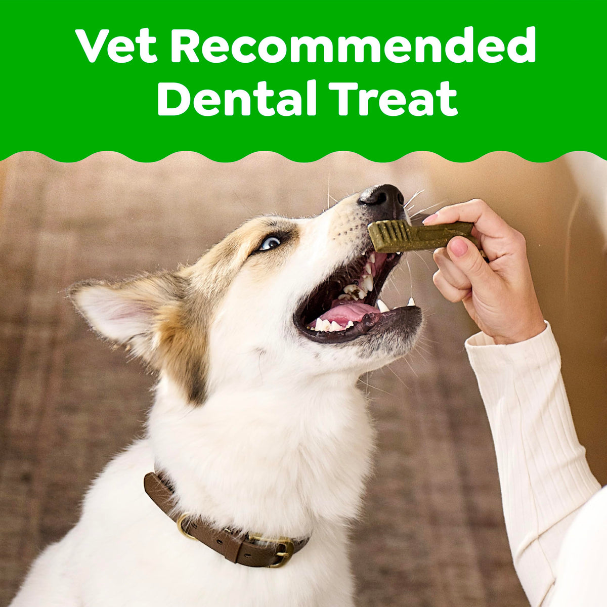 Large Natural Dental Dog Treats Sweet Potato Flavor 8 Count C306585