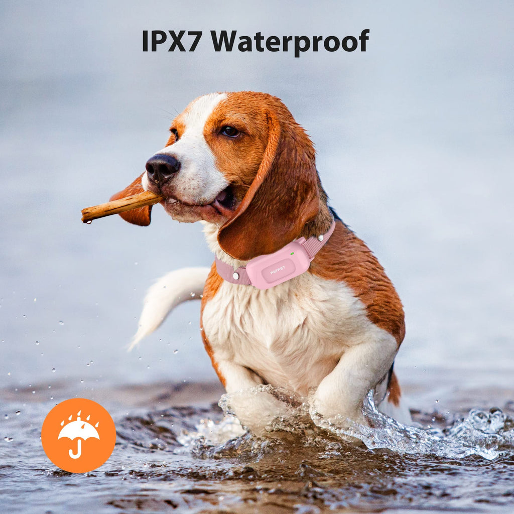 Rechargeable IPX7 Waterproof Dog Training Collar with Remote U6440