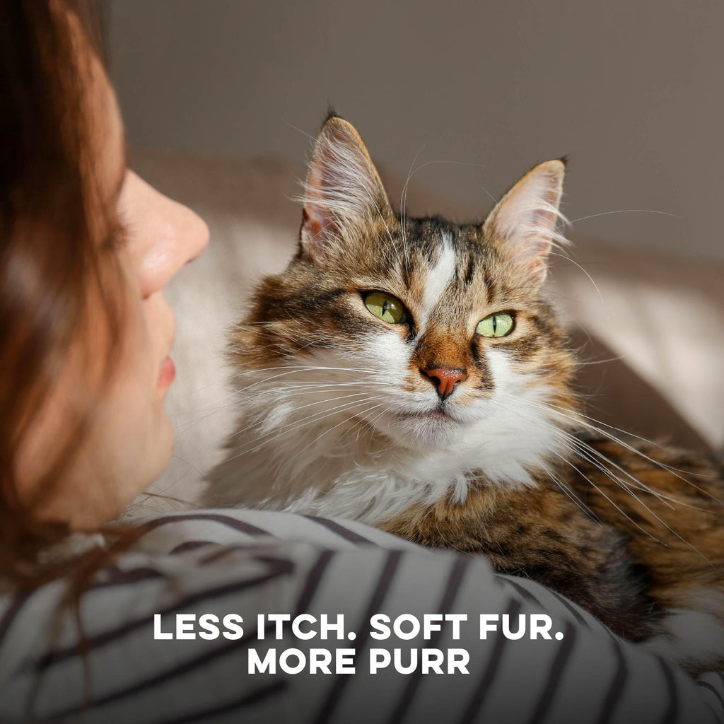 Cat Itchy Skin Relief & Hair Loss Treatment 400 Pills D780894