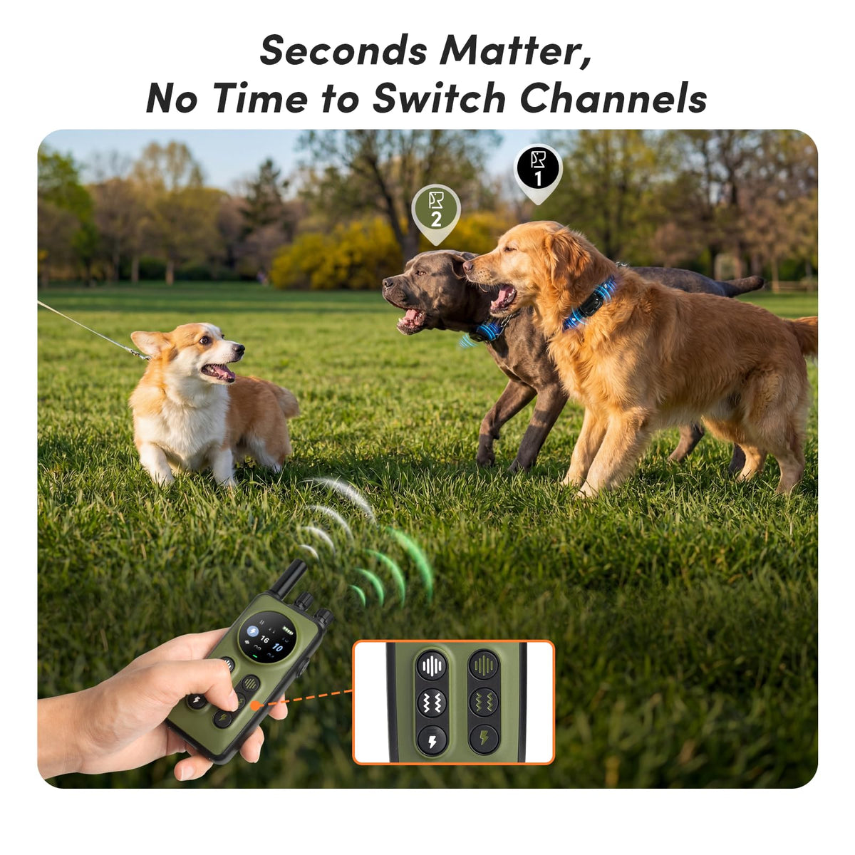 Shock Collar for 2 Dogs, 4 Modes, IPX8 Waterproof Dog Training Collar W9639