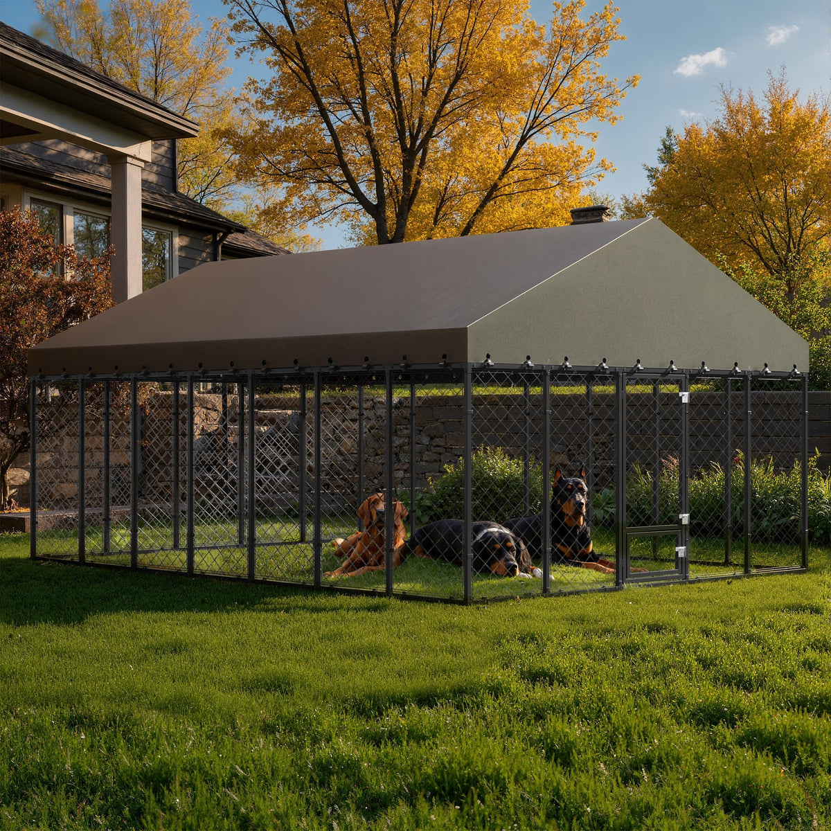 10x14FT Outdoor Dog Kennel with Roof D300803
